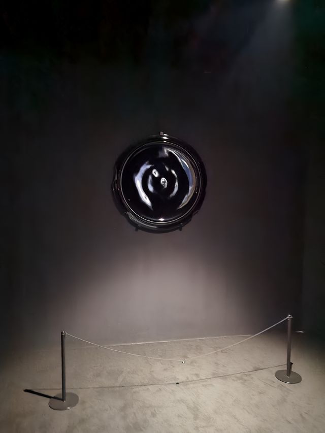 雅努斯的介面