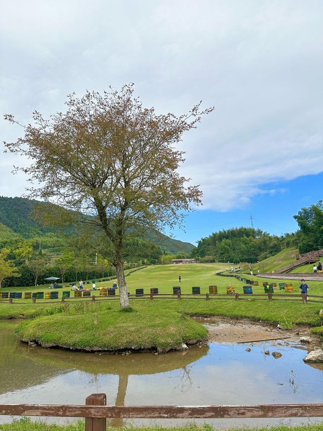 何必去澳洲和北歐，泰順雲巒牧場就能滿足