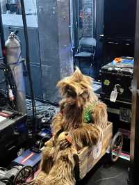 不愧是《劇院魅影2》,這波絕對穩了!