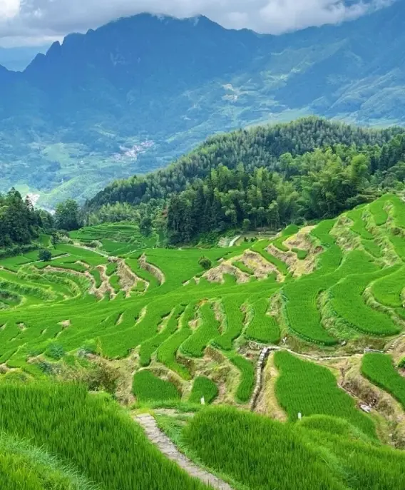 The scenery of Yunhe Terraces in the beautiful countryside is so sweet