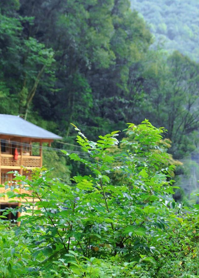 貴州都鄉斗篷山旅遊體驗