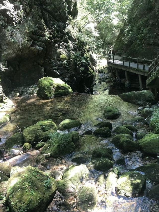 不如一起去徒山 | 牛背梁一日遊