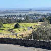 Dormant volcanoes and city views in Auckland!