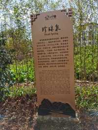 不一樣的大理——彌渡密祉“小河淌水”景區-文盛街茶馬古道