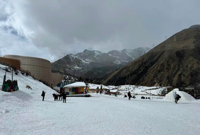 姊妹們來川西與雪來一次擁抱呗