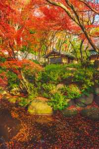 高松旅行四國村