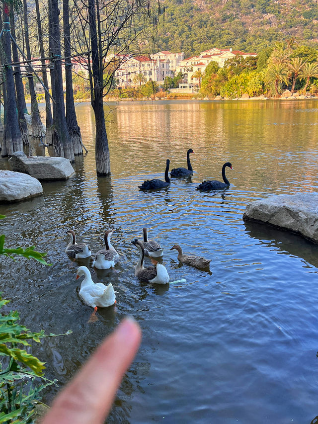 城市公園圖鑑｜廈門島內99％不知道的小眾秘境無濾鏡超美！