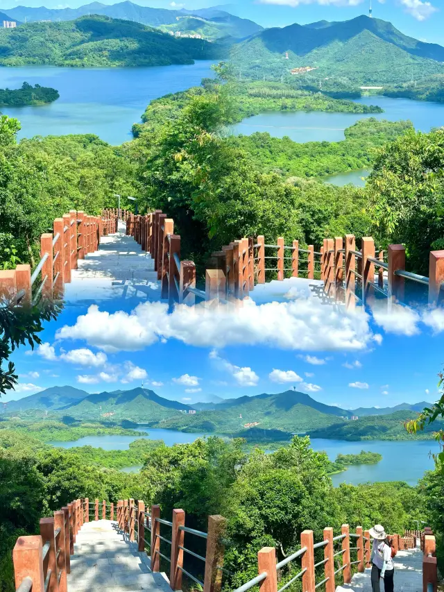 Taoginshan Greenway: The perfect place to relax and breathe fresh air on weekends, with stunning photos straight from your phone!