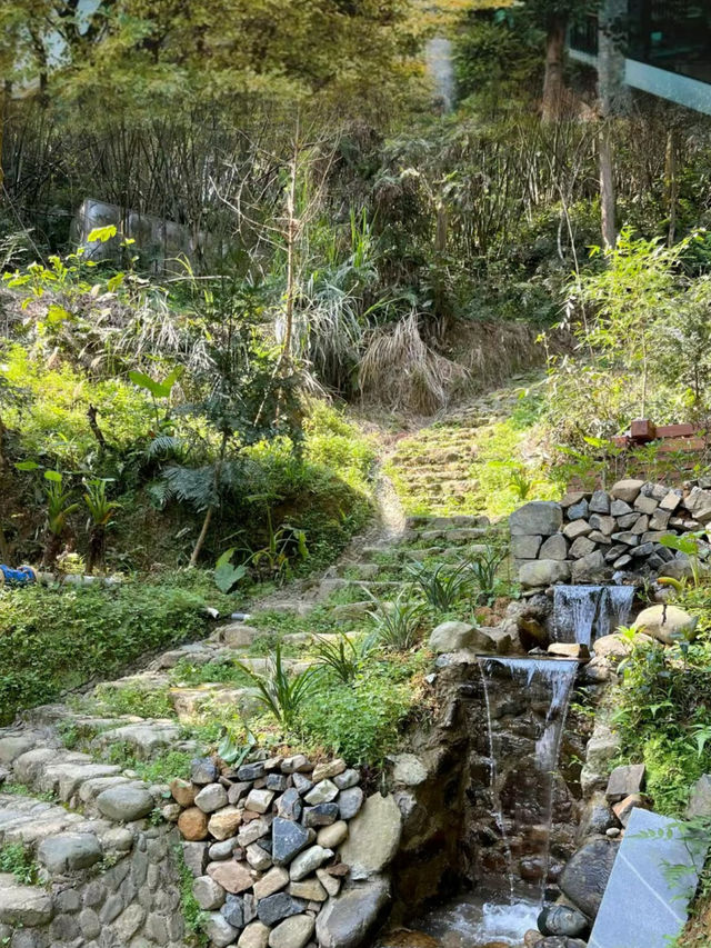 藏在雲水謠裡的奢野仙境酒店