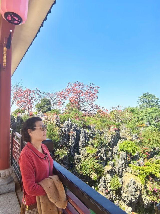 漢風古韻櫻花節：寶墨園/南粤苑的雙園聯遊