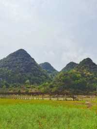 在貴陽邊邊，吹吹山風露個營