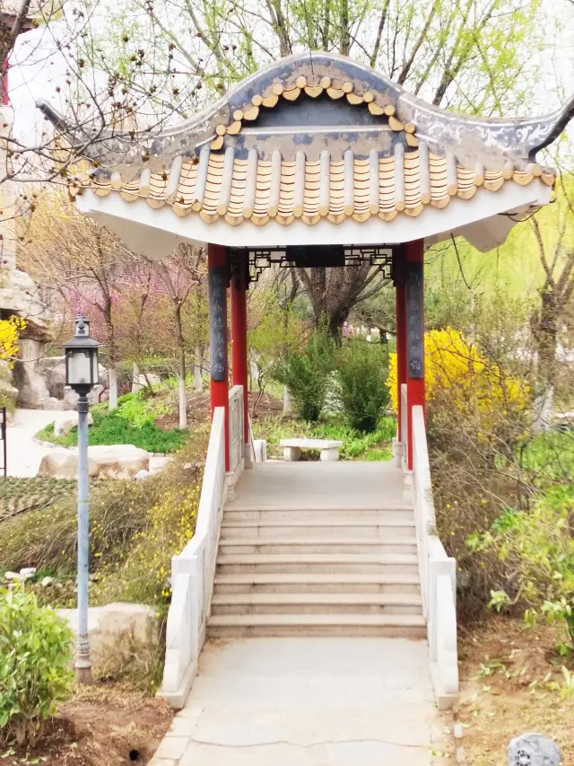 Spring in the Lingnan Garden