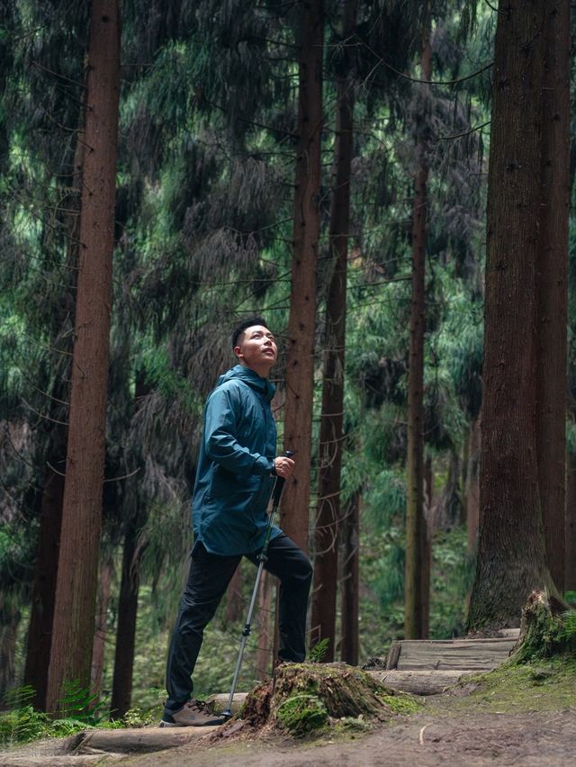 每週一山｜成都周邊中壩森林徒步一天