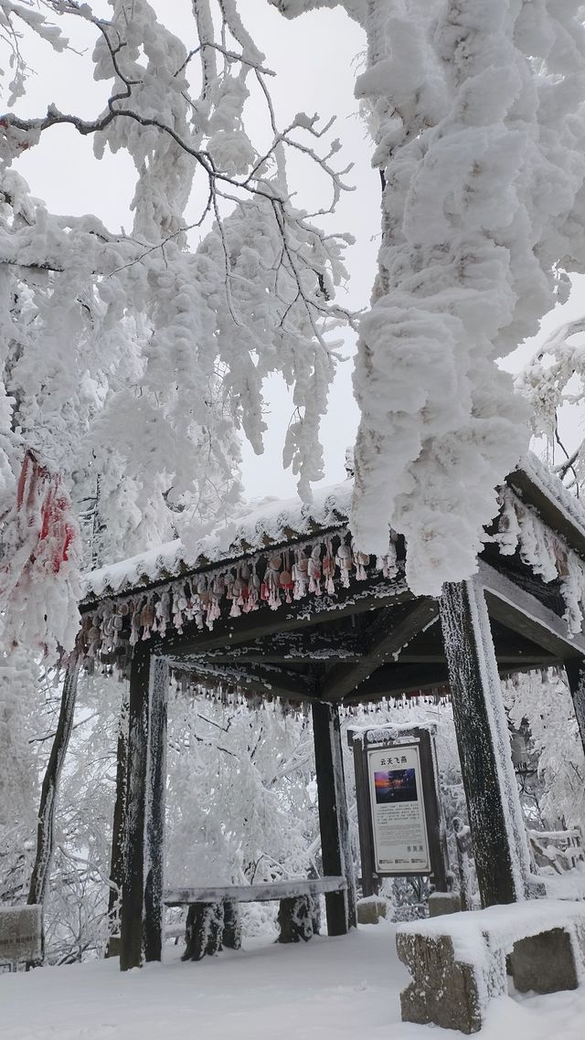 走啊！上春山～光雾山展示真正的“春山雪”