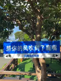 深圳鹿嘴，真的是夏季好去處