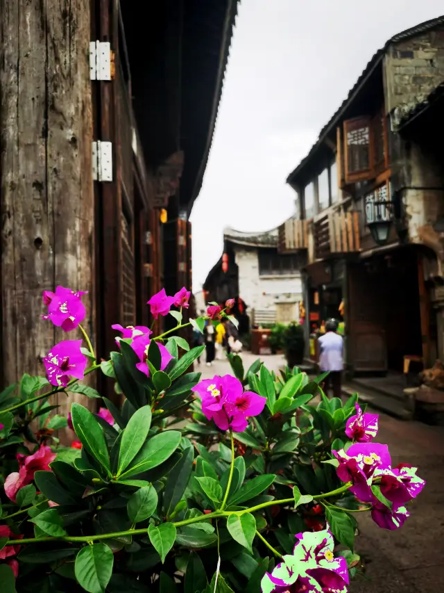 Wandering through the Ziyang Street by the sea