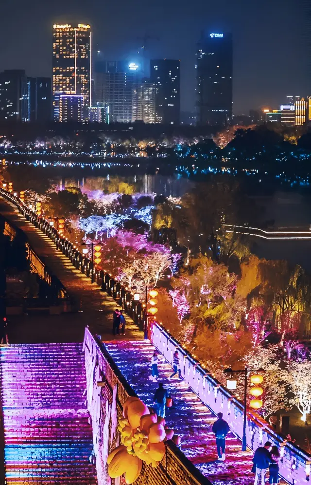 Night tour of the most beautiful Tai City