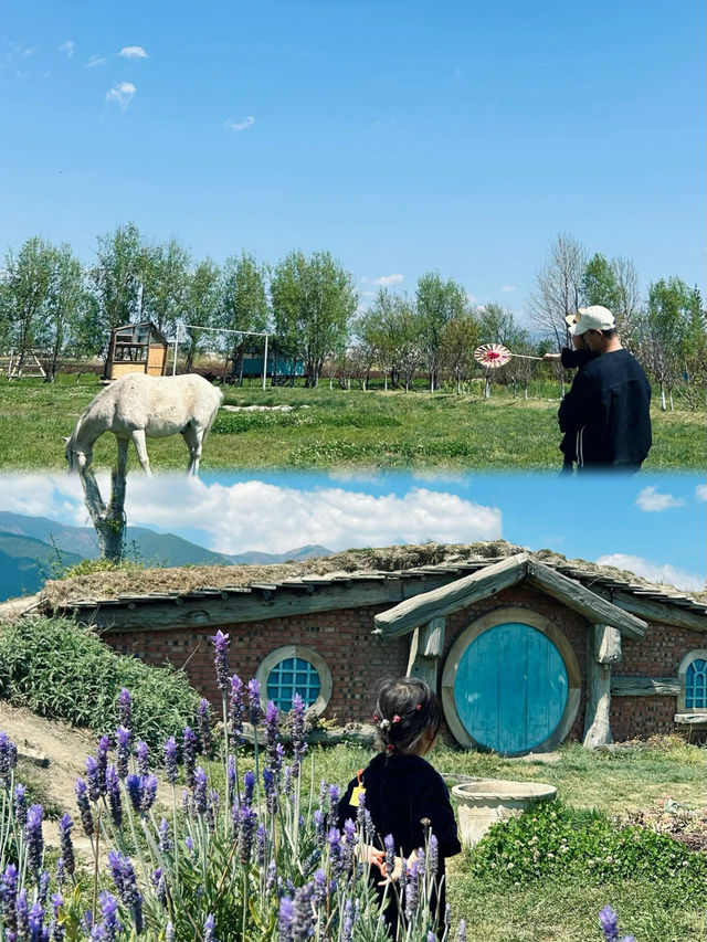 探索大理的隱秘魅力：環海路上的無限風光與喜洲古鎮的文化底蘊