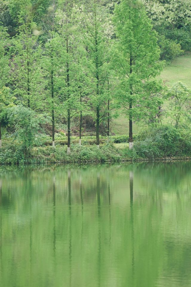 春天裡的一抹綠|重慶寶藏公園森呼吸