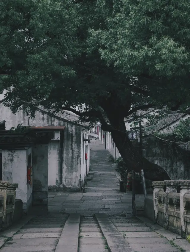 After traveling for 5 years, I've been to Shaoxing 7 times and my heart still flutters