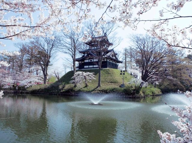 Niigata Sakura Warm Wind