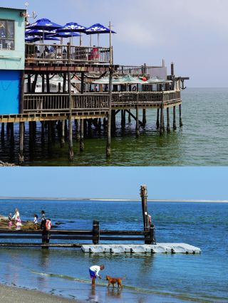 Whales in the bay, seals for company—Cape Pelican in Namibia