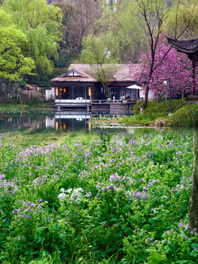 May Day must-see Hangzhou pit avoidance guide