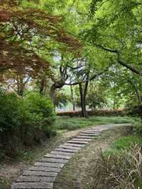 走進無錫貢湖灣濕地公園，感受原始森林之美