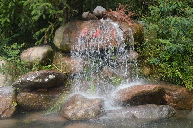 三爪仑國家森林公園