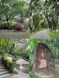 燕晗山郊野公園：都市叢林裡的友好綠洲
