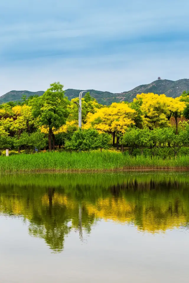 เทศกาลหยุดยาววันแรงงานนี้ ไปเล่นที่ International Village แบบนี้สบายเกินไปแล้ว