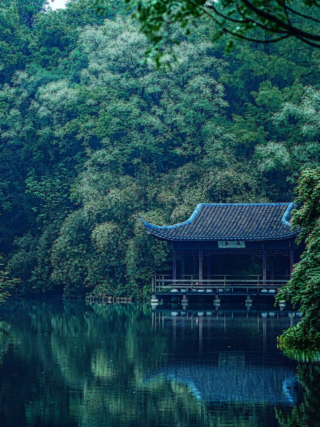 西湖小眾路線，領略不同的美！