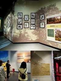 小眾博物館推薦  普洱市博物館