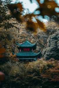 看過凌晨三點的長沙，才知道什麼叫夜生活。