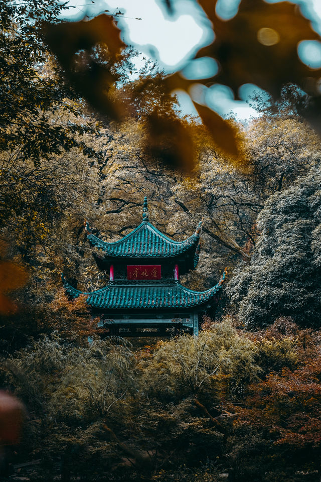 看過凌晨三點的長沙，才知道什麼叫夜生活。