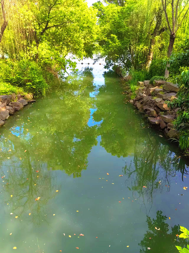 蘇州同裡濕地公園，夏日清涼的絕佳勝地