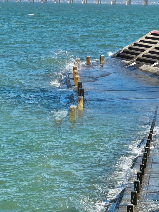 一到廈門就飛奔這裡!美絕了!! 一到廈門就飛奔這裡!美絕了!!
