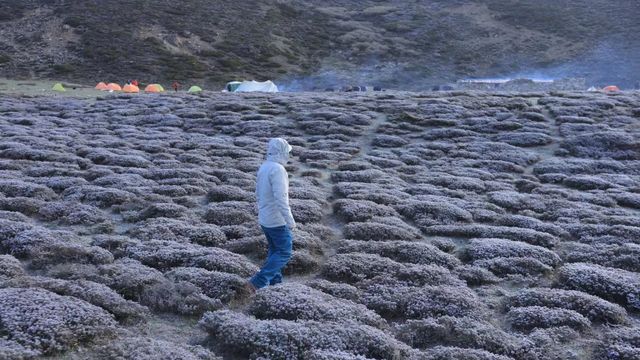 記錄沿途的美麗風景