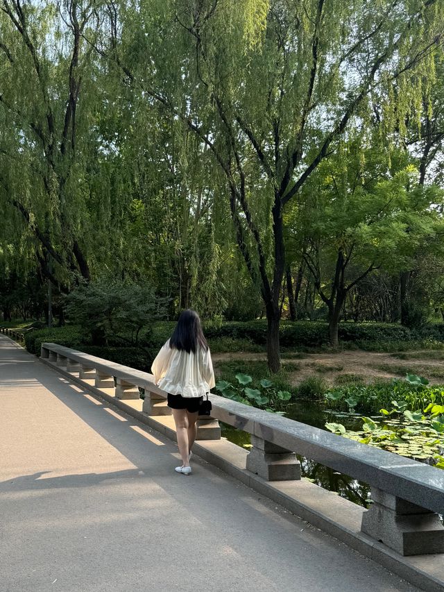 濟南西值得打卡的天然氧吧森林