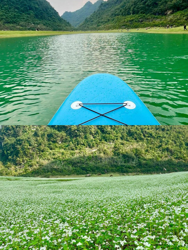 南寧周邊更望湖打卡《鬼怪》同款蕎麥花海
