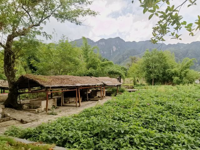 貴州旅遊|小眾景點|世外桃源般的雲舍景區