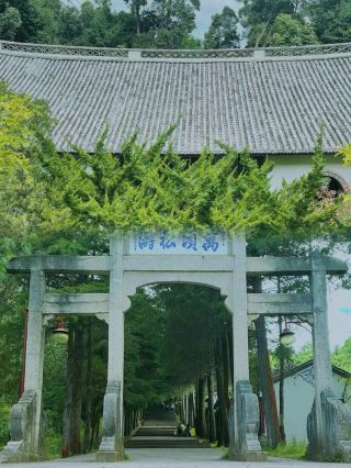 Why is the precious Weibaoshan not famous?