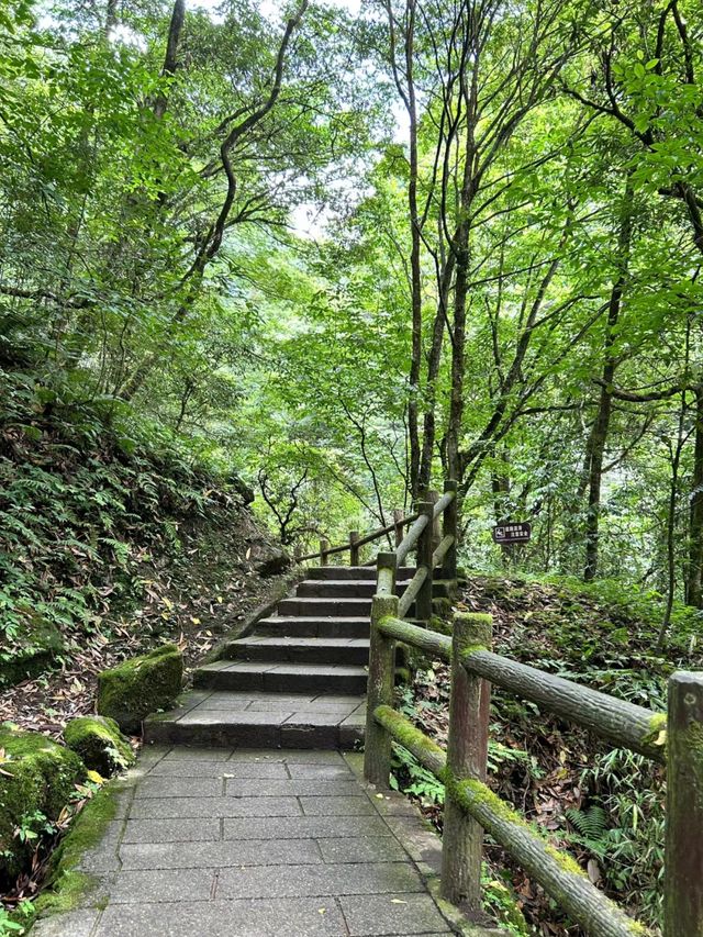 成都周邊2h，看猴子耍水輕徒步好去處
