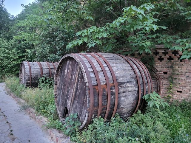 霍格沃茨魔法學院