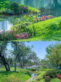 成都“莫奈花園”