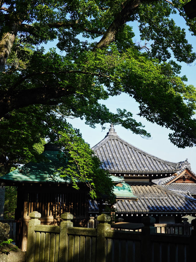 日本成田｜轉機半日遊