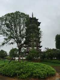 長沙周邊遊——洋湖濕地公園