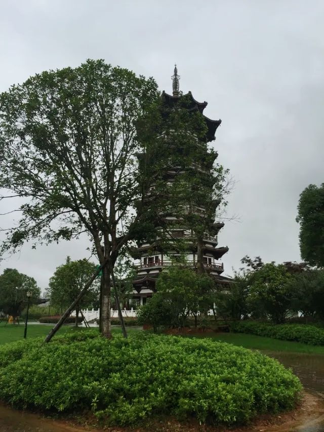 長沙周邊遊——洋湖濕地公園