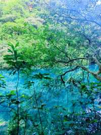 廣州周邊-夏日避暑親水勝地