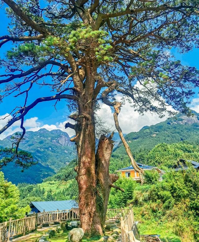 遠離城市喧囂，感受原生態的苗鄉風情：融水元寶山景色推薦